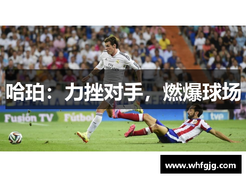 哈珀：力挫对手，燃爆球场